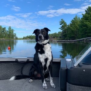 Meet your Posher, Katlyn